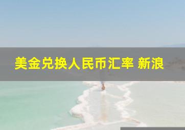 美金兑换人民币汇率 新浪